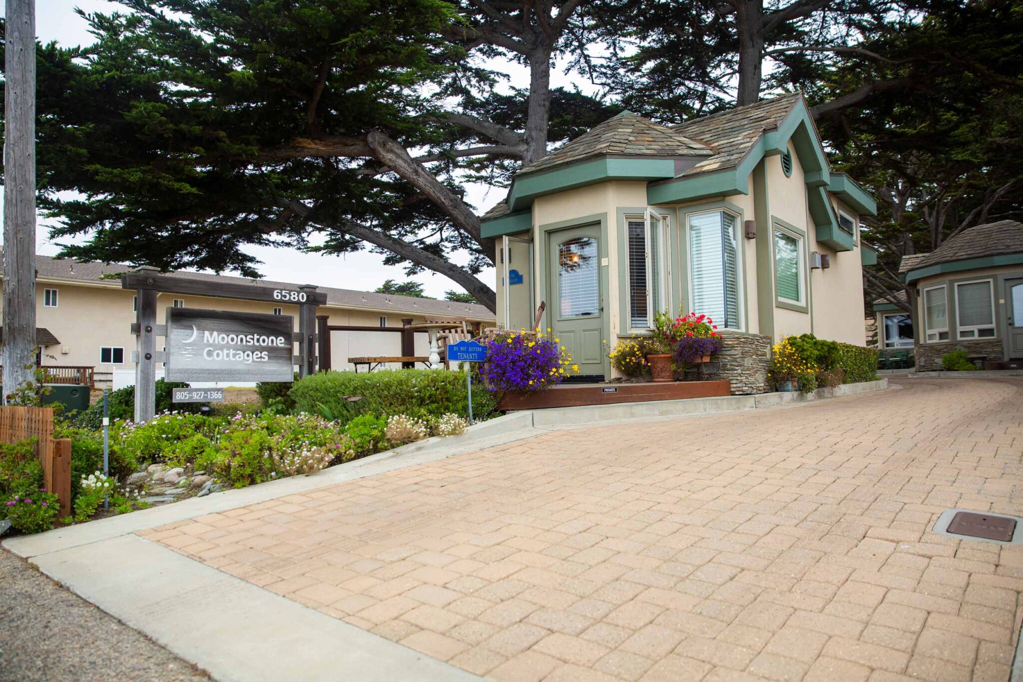 cambria hotels on moonstone