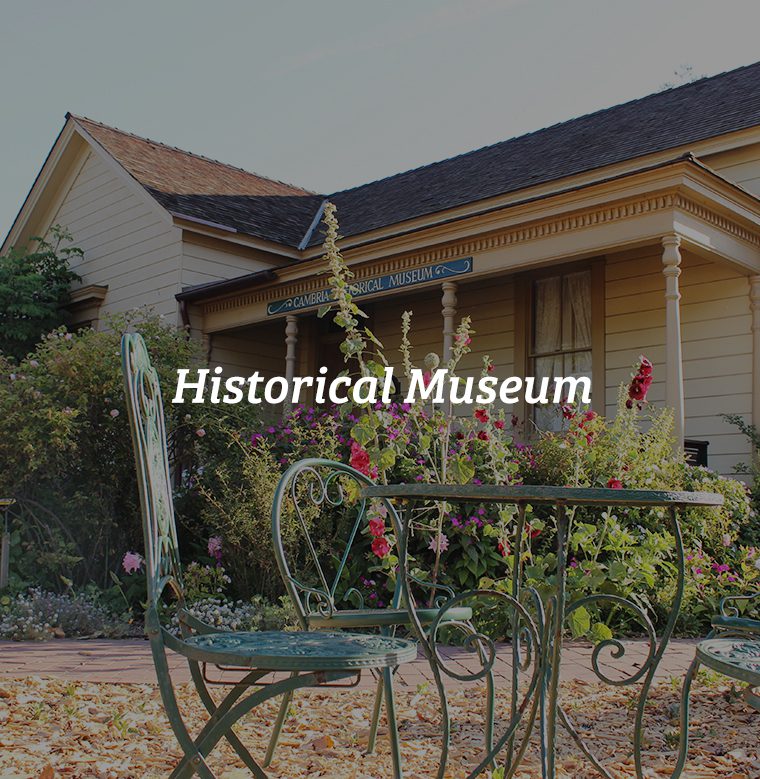 Visitors Visit Cambria CA