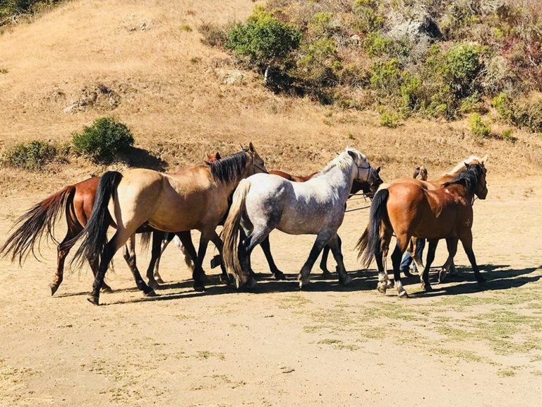 Christmastime in Cambria Visit Cambria CA
