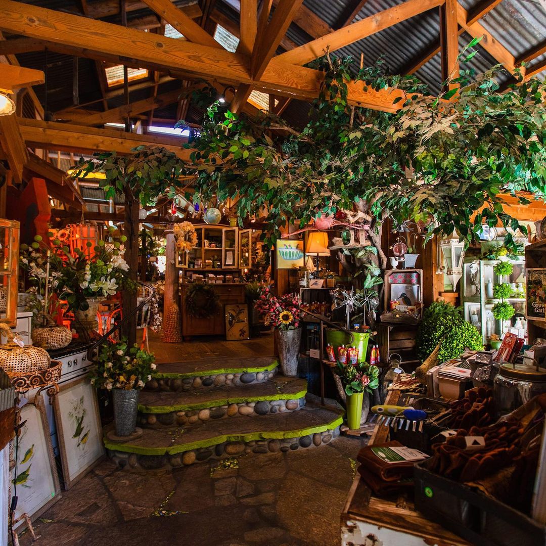 Grow Nursery Visit Cambria CA