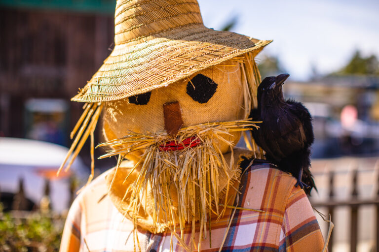 Cambria-CA-Scarecrow-Festival