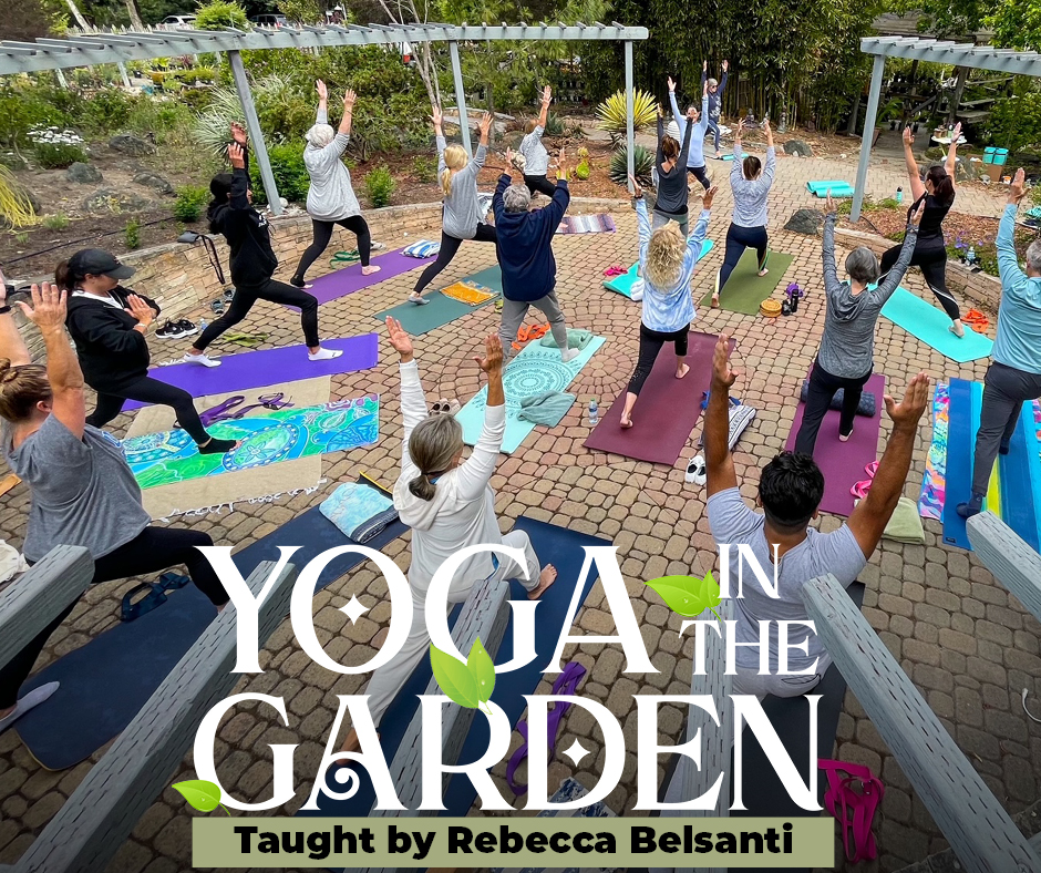Yoga for Relaxation in Nature - Visit Cambria