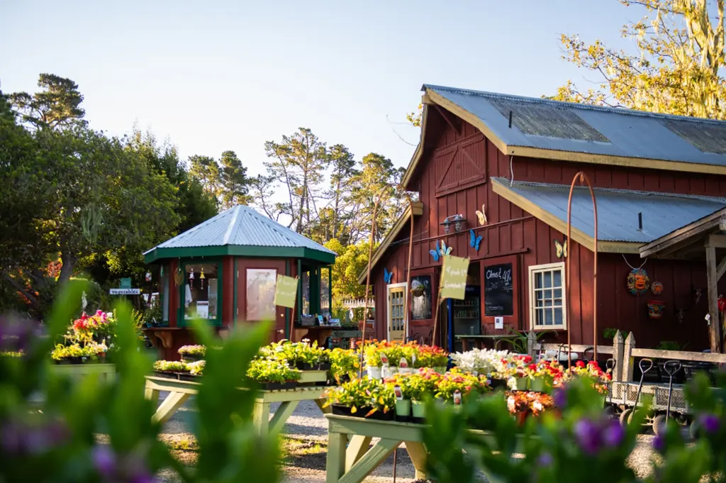 Cambria Nursery and Florist