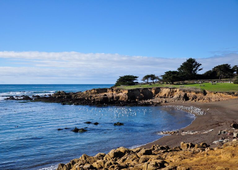 intro photo option 1