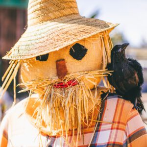 cambria scarecrow festival 29 43726144520 o