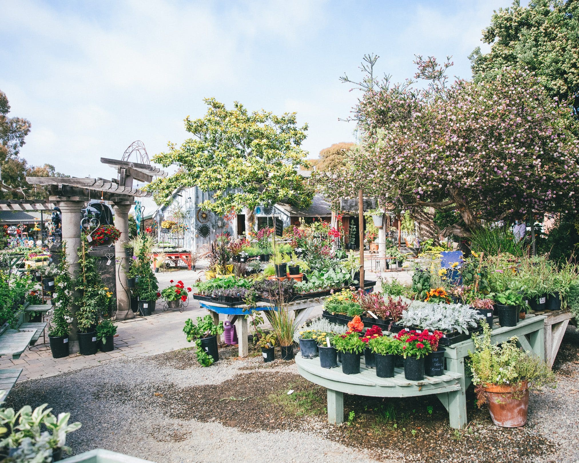Plant & Flower Shops in Cambria, CA • Visit Cambria | CA