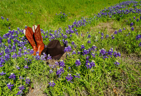 Cowboy Hat and Boots in a Field of Texas Bluebonnets
