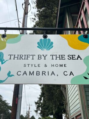 Thrift by the Sea