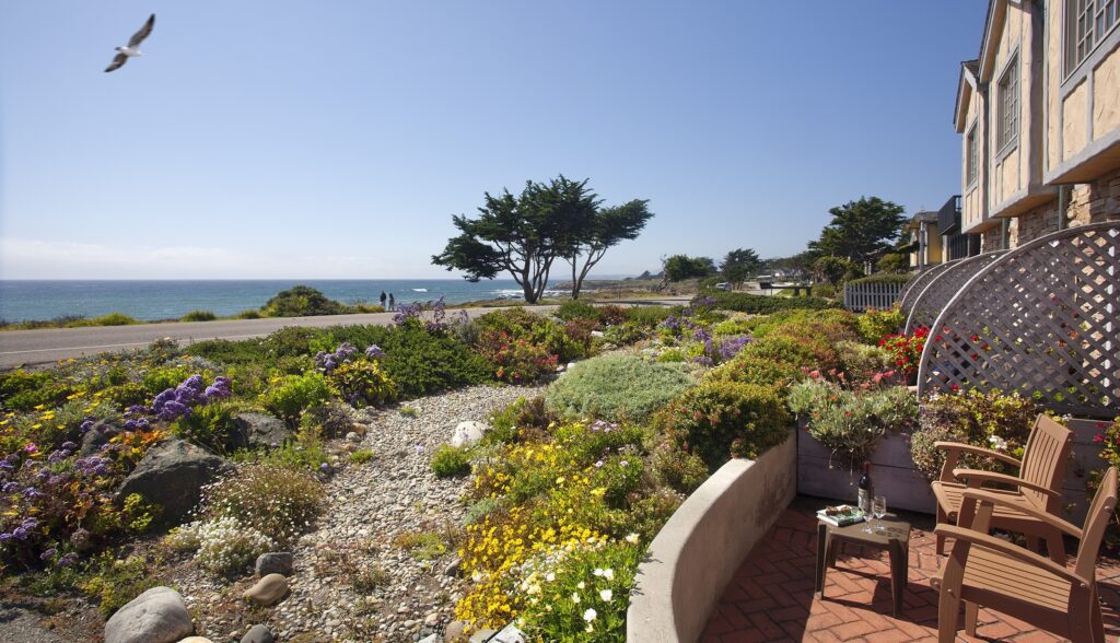 cambria hotels on moonstone beach