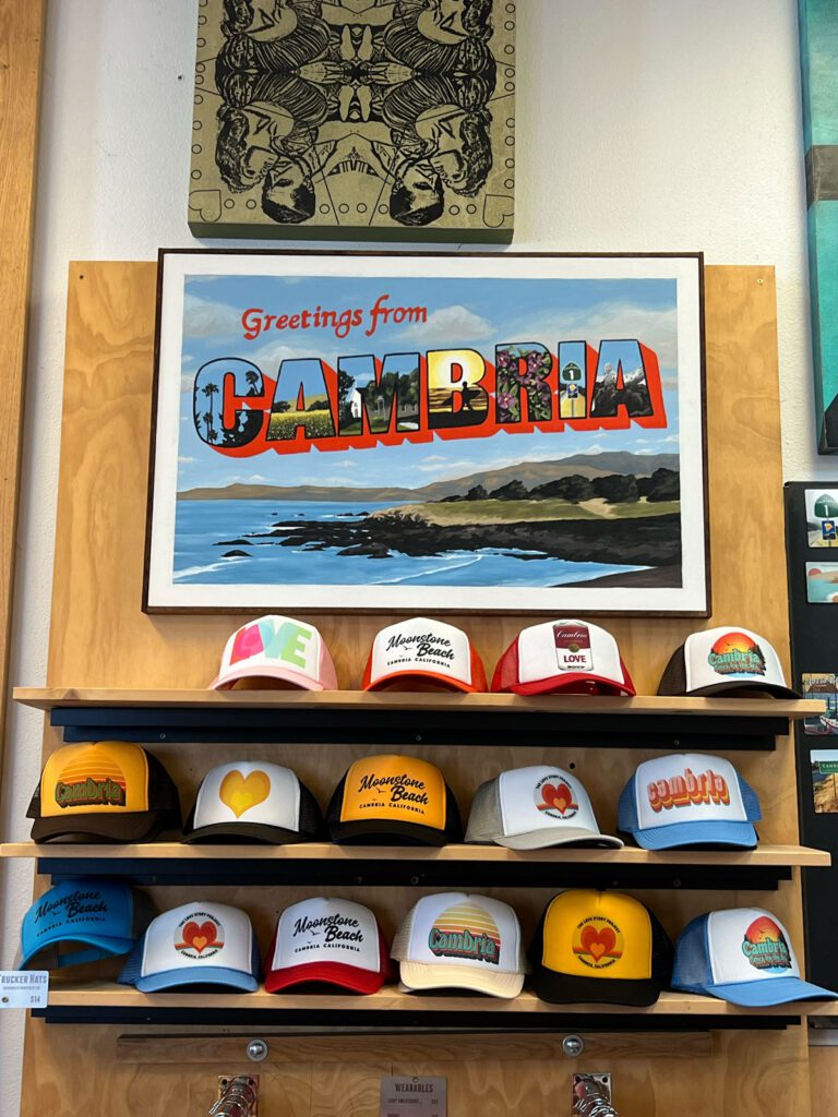 Assorted hats showcased on store shelf.