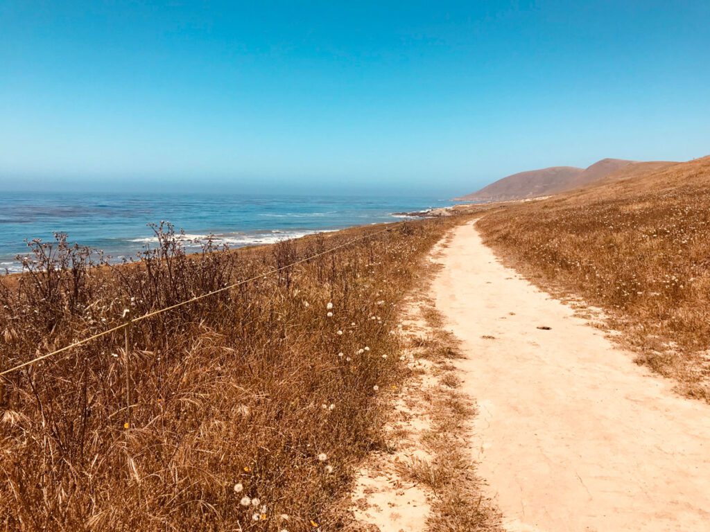 A narrow trail running parallel to the sandy beach and the sea.