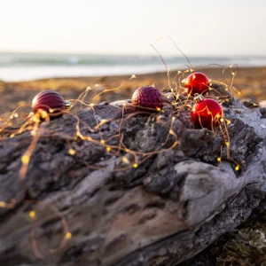 Christmas Lights & Ornaments on Beach