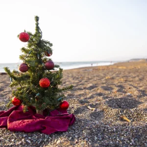 Christmas Tree with Ornaments on a Beach