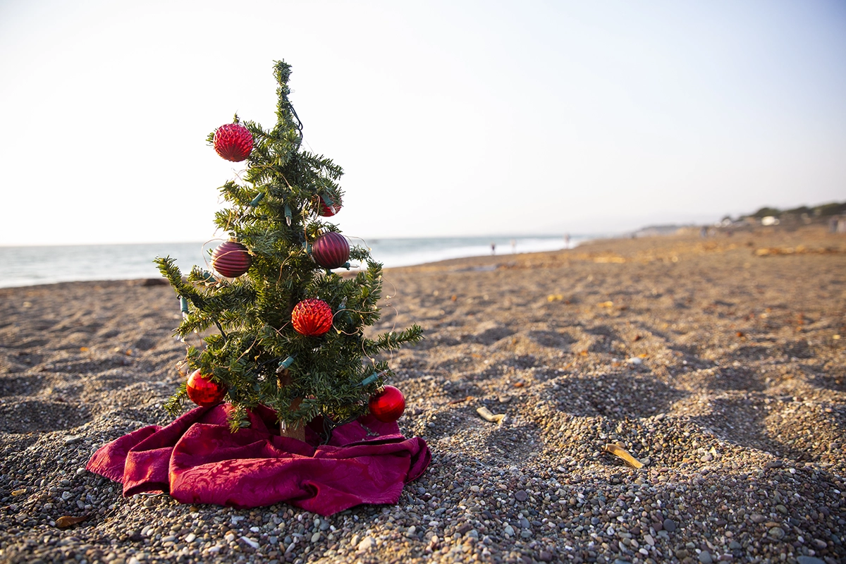 Christmas Tree with Ornaments on a Beach