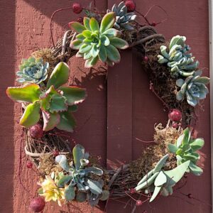 Succulent Christmas Wreath