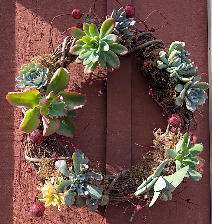 Succulent Christmas Wreath