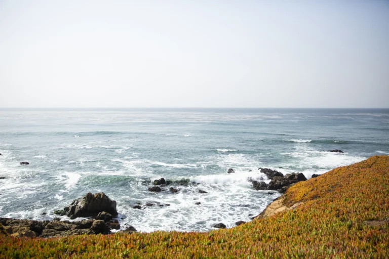 Fiscalini Ranch view of beach
