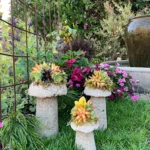 Succulent Mushrooms created during workshop