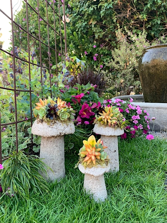 Succulent Mushrooms created during workshop