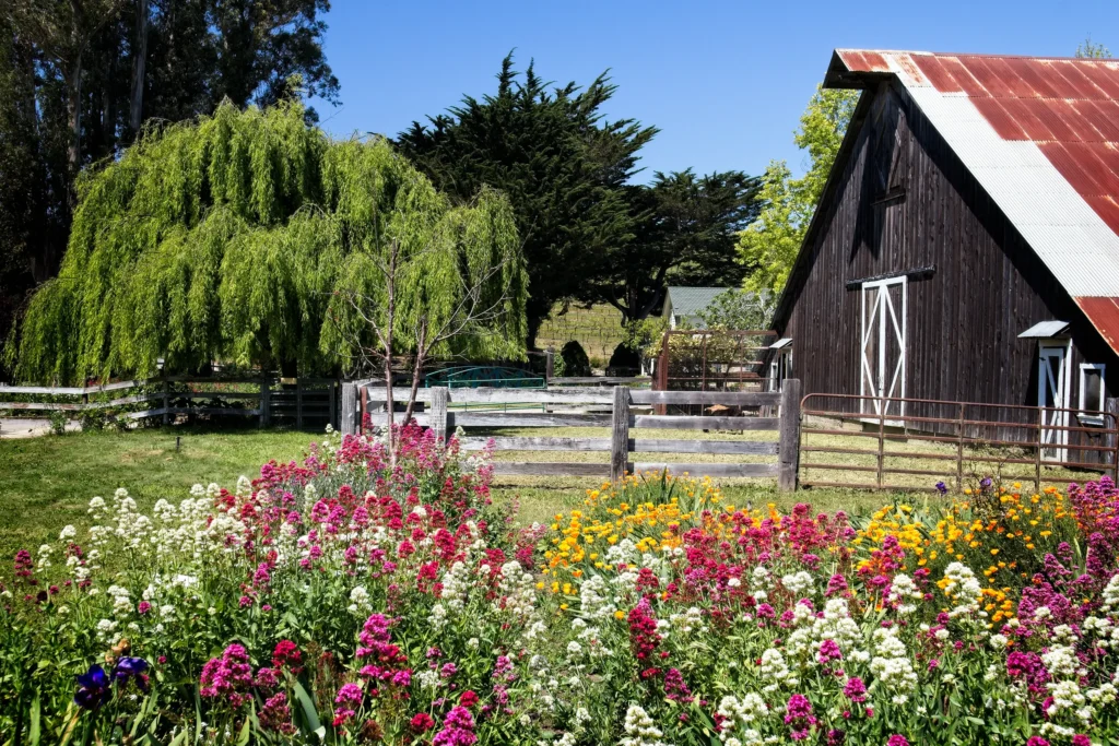 Parr Collective Barn with flowers at Stolo Vineyards