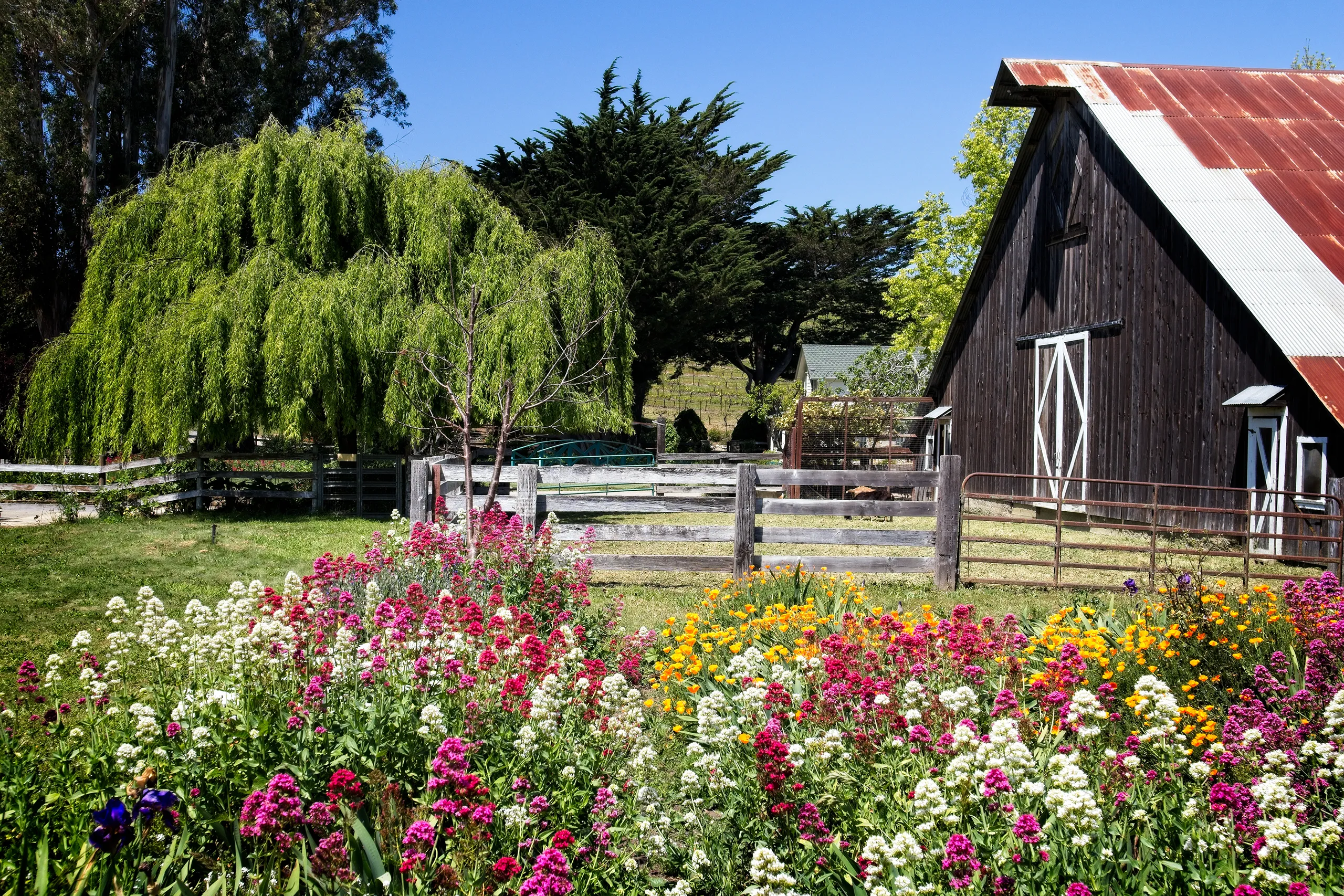 Parr Collective Barn with flowers at Stolo Vineyards