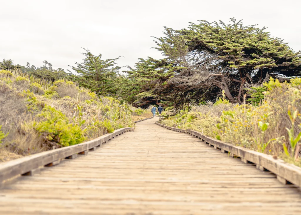 Moonstone Beach Wooden Boardwalk Path