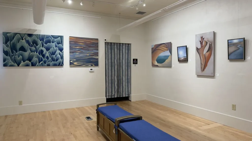 Visual Arts- What is Revealed Featuring works by Margaret Biggs
